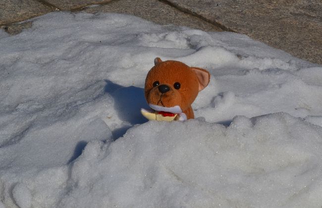 雪は、道路には積もっていないから、歩きやすいワン。