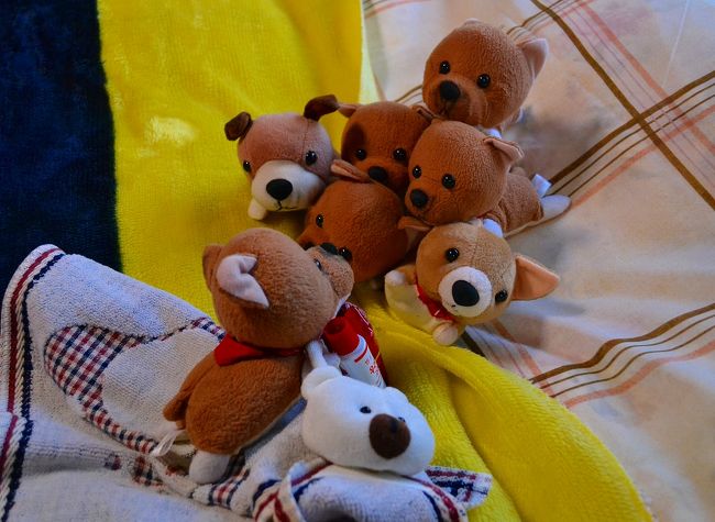 家に帰ったら、しばふのお友達に、お土産のクマのタオルを渡しました。<br /><br />「しばふ君、お疲れ様でした！」<br /><br />