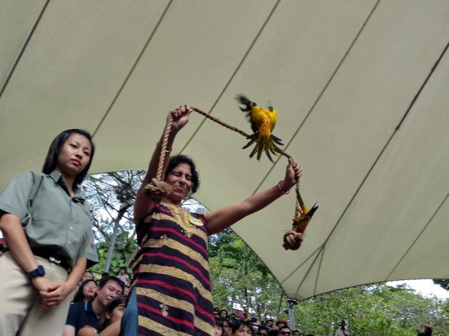 観客の掲げるロープに向かい