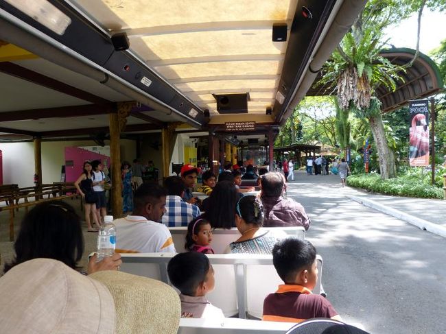 トラムに乗っての観光です