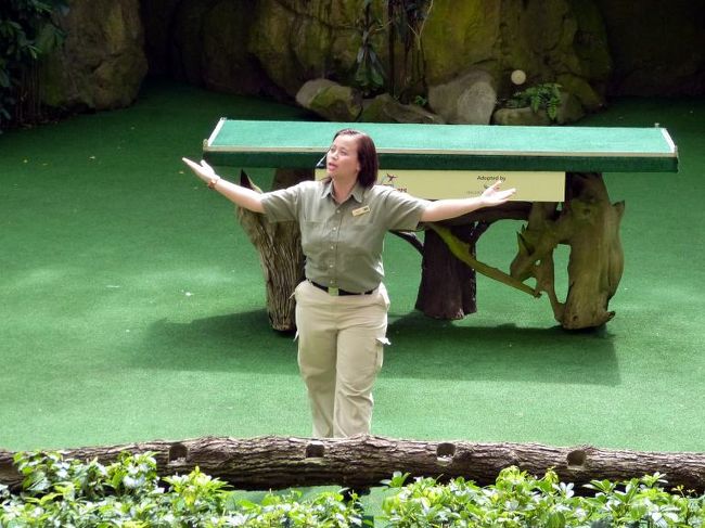 オールスター バード ショーを見に行きます