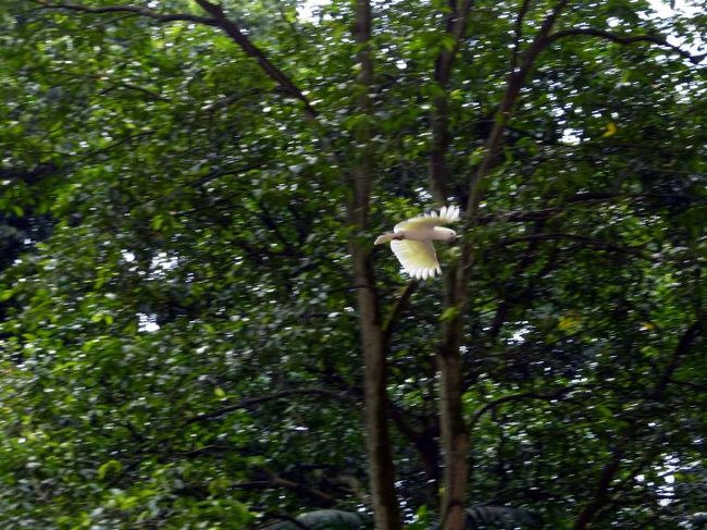 ここを訪ねたのはこのショーを見るため