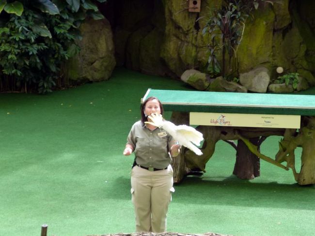 よく調教された