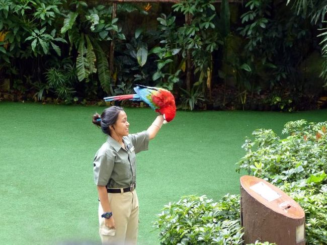 対戦型のショーの始まり