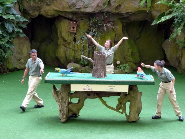 ボードの左右に