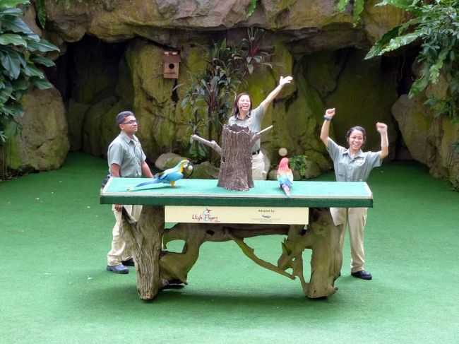 並べたボールを