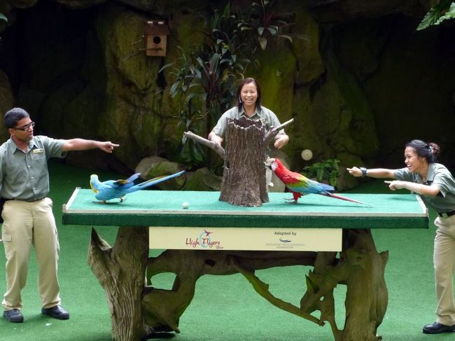 中心にツリーの穴に入れていく