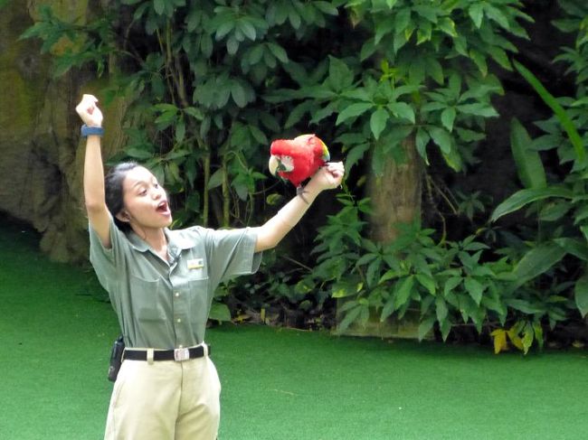 ベニコンゴウインコの圧勝でした