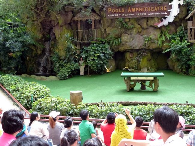 ステージを飛び立ったインコは