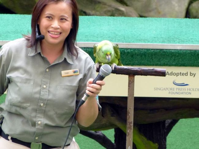 ステージでは緑色のインコが登場し