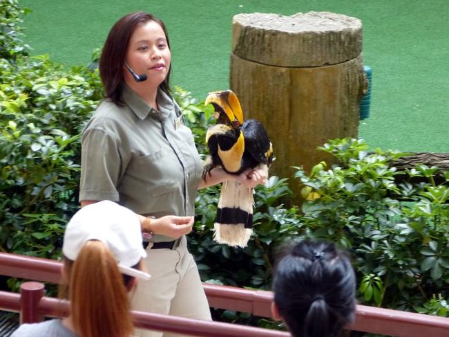 嘴が大きくチョッと怖い
