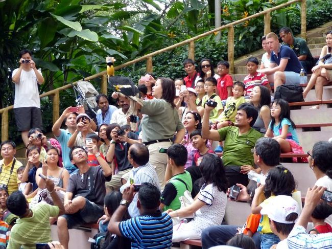 とても利口な鳥のようで