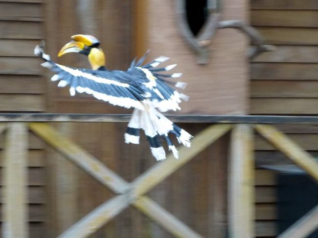 お姉さんの指示で