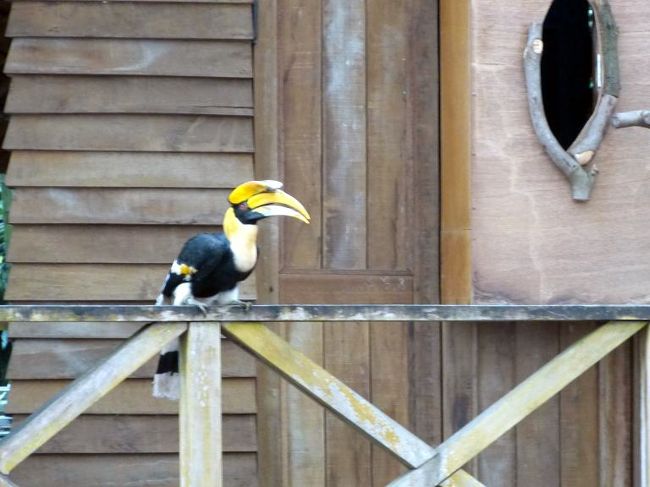 ステージに渡り