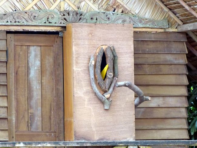 扉を閉めて嘴だけ出す