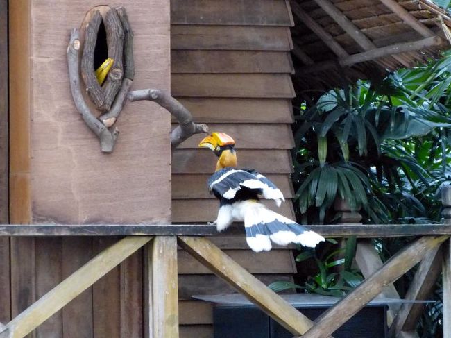 番（つがい）でしょうか