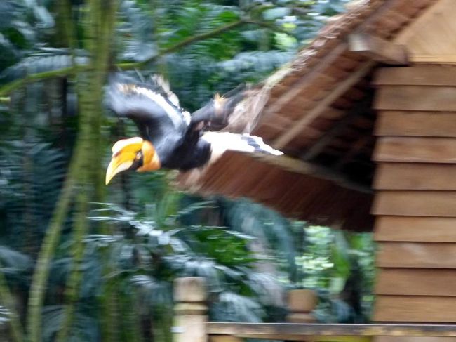 エサがほしいようで