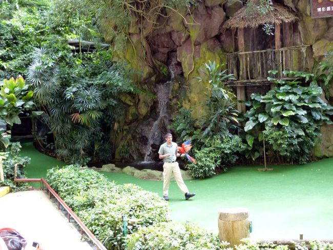 調教師の腕にとまる