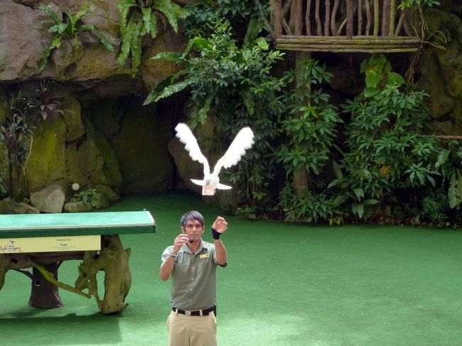 調教師の手を離れ