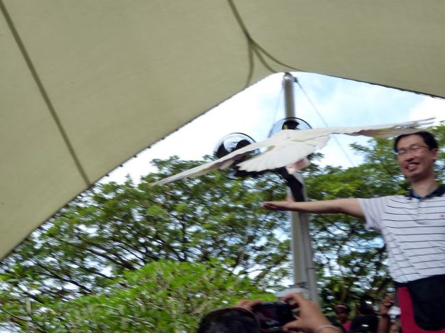 ショーに参加した観客に向かって一目散