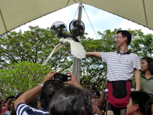 降り返し戻って行きます