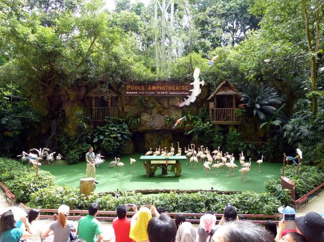 インコたちも飛び回りショーのフィナーレ　<br /><br />想像通り楽しいショーでした