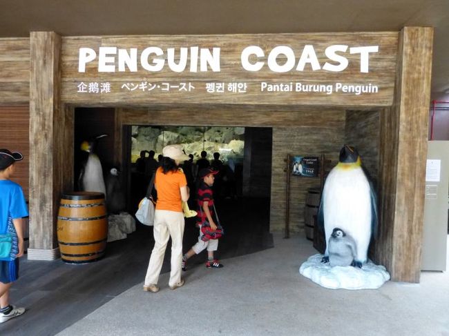 ペンギン コースト