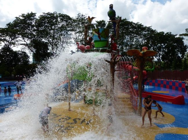 盛大に水をぶちまけ楽しそう