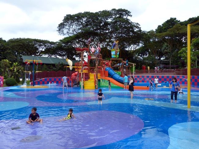 小さな子供たちが楽しんでいます