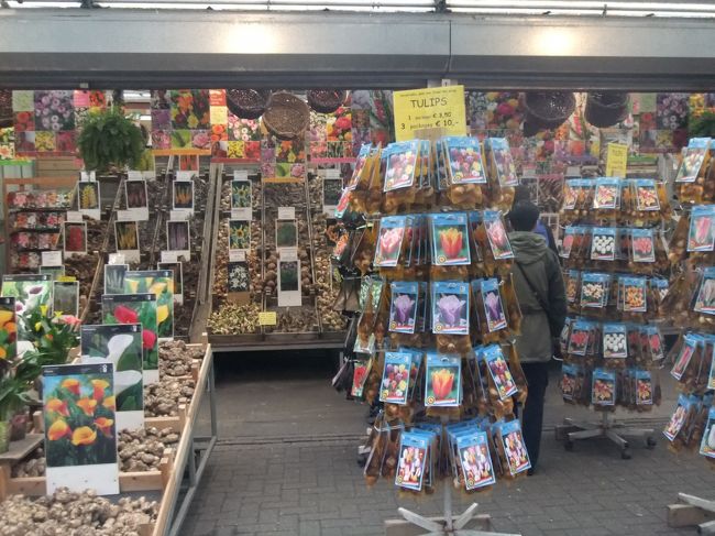 つい、買いたくなってしまう球根。