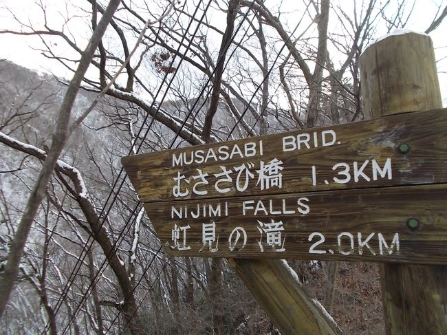 冬の龍王峡ハイキング 川治温泉 栃木県 の旅行記 ブログ By アライグマの湯さん フォートラベル