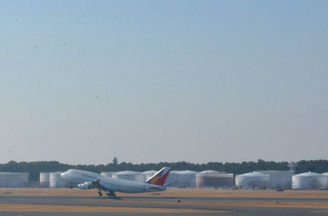 フィリピン航空、離陸！<br /><br />色がかわいいね。