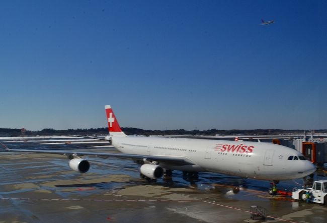この日、成田空港には5センチ以上の積雪だったようです。<br />でも、到着した頃には滑走路の雪も溶けていました。<br />