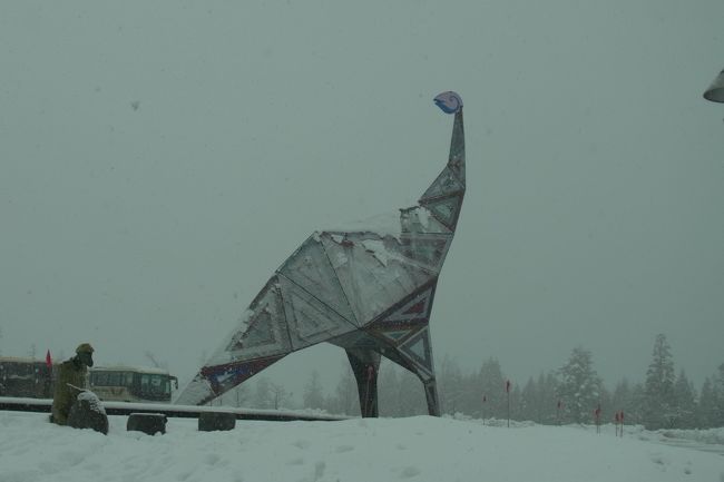 恐竜博物館に到着〜<br />こちらのほうが山側なので、すごく雪が降っています！