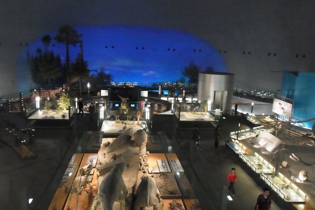 入口のフロアが３階位になって、地下に降りて下から見学していく形です。<br />見下ろすと、おお、結構本格的？！