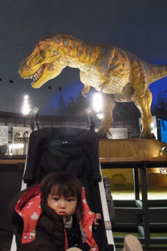 息子は興味津々な様子。<br />娘はびっくりした様子でじーっとみつめていました。<br />このあたり、年齢差というか、男女差なんですかね？