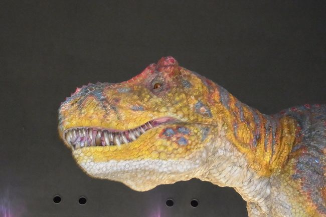 ほら、表情もあってリアルなんです。