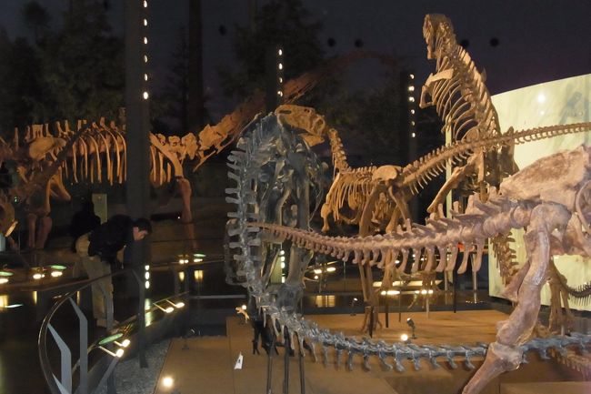 結構専門的なので、説明とか読むと大人でも難しいです。<br />でも、沢山の展示があって、子供は感覚的に楽しめる感じですね。<br />私も、初めてこれで恐竜に関心を持ちました。<br />大人も子供も楽しめるいい施設だと思います♪