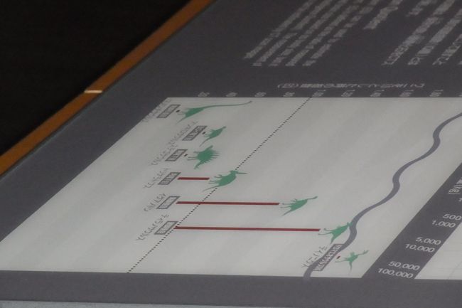 これは、ちょっと興味深かった、恐竜の知能について。<br />知能がどのくらいあったか、は、現在では頭というか、脳の大きさ（比率）で推測することしかできないけれど、概して恐竜は、ワニを１としたときに、ずいぶん小さかったようです。<br />確かに何頭身？！ていうくらい頭だけ小さい恐竜いますもんね。<br />ということで、あくまで想像ですが、ワニのほうが賢い？みたいな結論。<br />でもまあ大きさだけでは判断できないこともありますけど。。<br />何しろ手がかりがないので、そういうの、色々想像するしかない部分はたくさんあるのが恐竜の面白さというか、興味をかき立てる部分だなと思います。