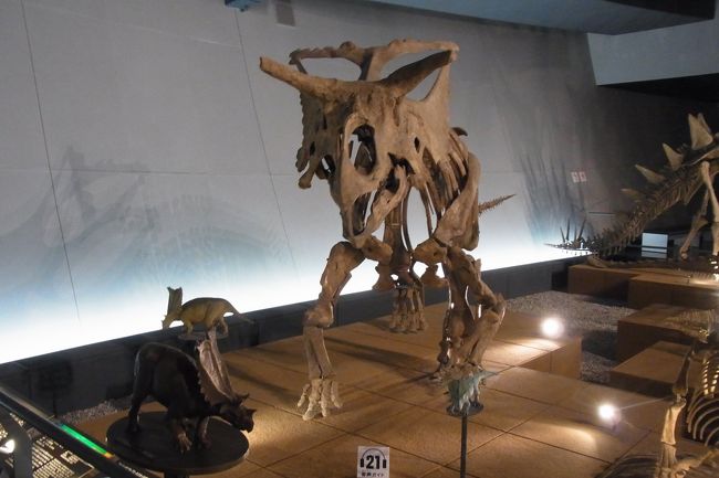 この手の恐竜、本当に奇抜な形態をしていますよね。<br />どう進化してこうなるんだろう、、、本当に不思議。見入ってしまいました。。