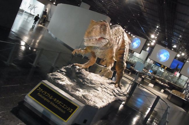 福井で発掘された恐竜なので、フクイラプトルと名づけられた恐竜。