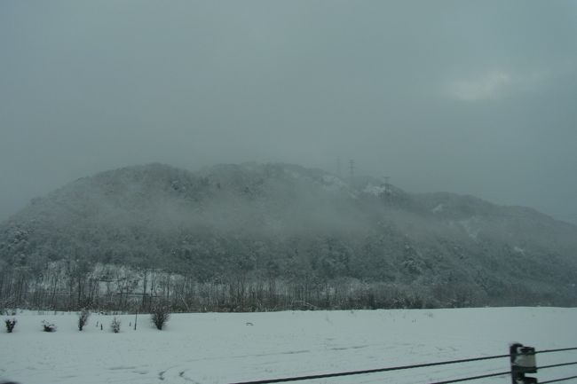 楽しい楽しい恐竜博物館を堪能し、お宿へむかうことにします。<br />外はすごい雪。<br />山のほうはこんなかんじ、吹雪みたいです。