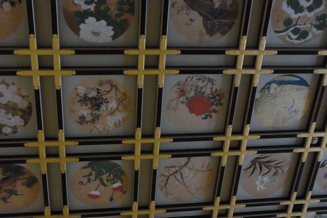 傘松閣天井に描かれた花鳥彩色画。一枚一枚絵が違っていてお見事です。