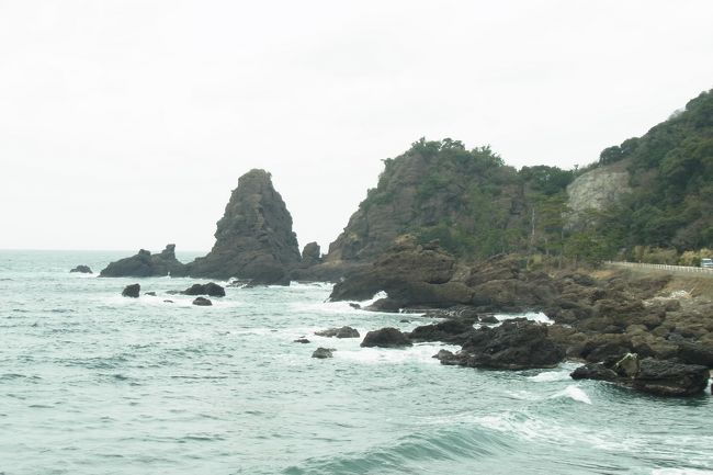 こちらに向かったお目当ては、この時期満開の越前水仙！<br />と、ちょうどこの時期水仙まつりが開催されていました。<br />ただ、水仙まつりの会場（越前がにミュージアムのあたり）では、水仙はなさそうだったので、反対側（北側）に戻ります。