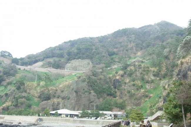 もうこのあたり、越前水仙の名所の近くなんだけどなー、どこかなー・・・と思いながら車を走らせる。