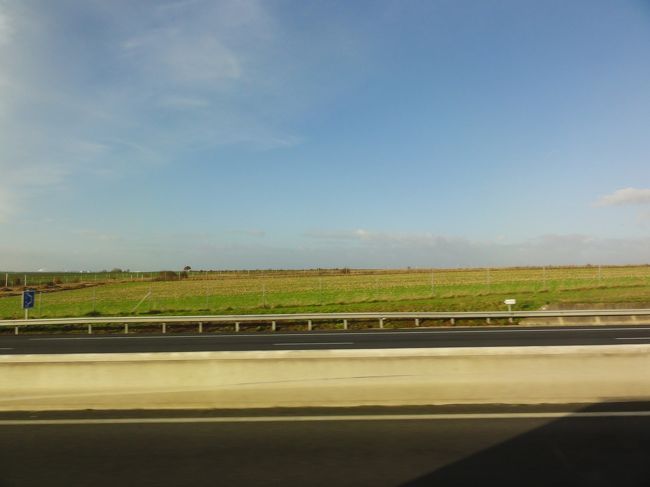 この辺りは２つの　「世界大戦」　で多くの犠牲者がでたところです。<br /><br /><br />「白い十字架」　が　「フランス兵」<br /><br /><br />「黒い十字架」　が　「ドイツ兵」<br /><br /><br />の　「集団墓地」　が多くあると　「ガイドさん」　が言ってました。