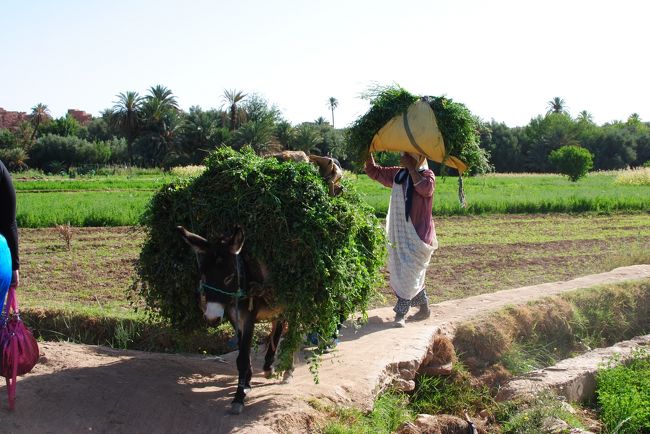 よく分からない村にも寄り道。
