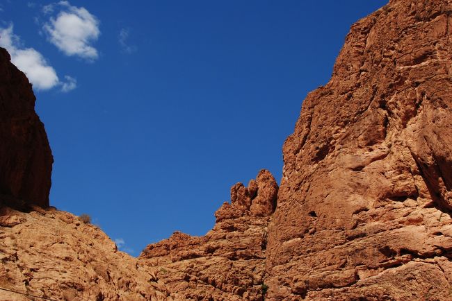空が嘘みたいに青い！！
