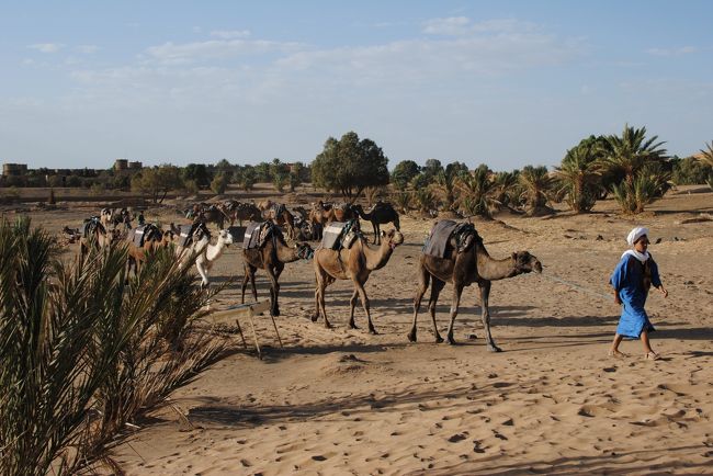そしていよいよラクダに乗って砂漠へ！！