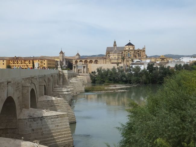 １４：００　コルドバに到着　（世界遺産）<br />アンダルシア第３の都市で、グアダルキビル川の右岸にたたずみ、８世紀半ばから１１世紀初めはイスラム王朝、後ウマイヤ朝時代に栄えた古都。<br />学問や芸術の中心地として世界に名を馳せたそうです。<br />